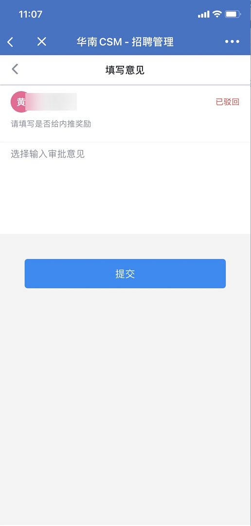 填写意见：驳回审批并提交